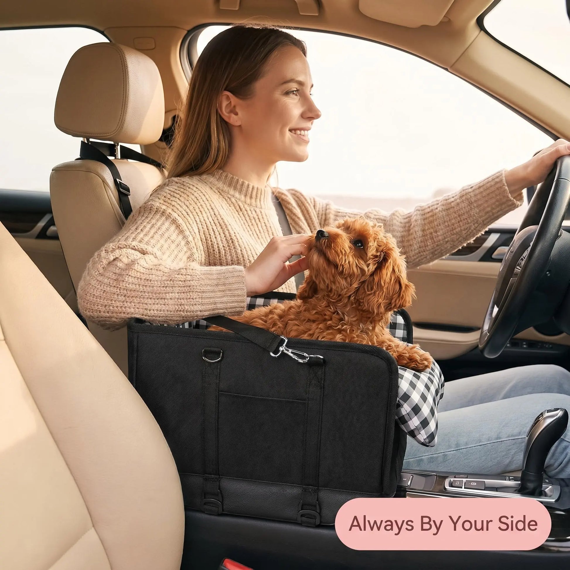 Small Dog Car Seat Center Console Booster Seat for Small Dogs & Cats, Safe Travel Pet Carrier with Safety Leash, Portable Armrest Pet Bed for Car, Non-Slip Pet Travel Carrier for Small Breeds