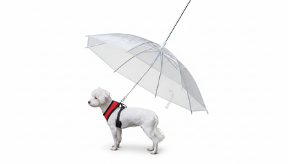 Pet Umbrella Leash – Dog Umbrella for Rainy Walks with Comfortable Handle & Leash Attachment